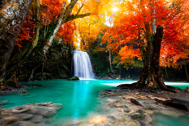 Fotomurales de vinilos cascada en otoño
